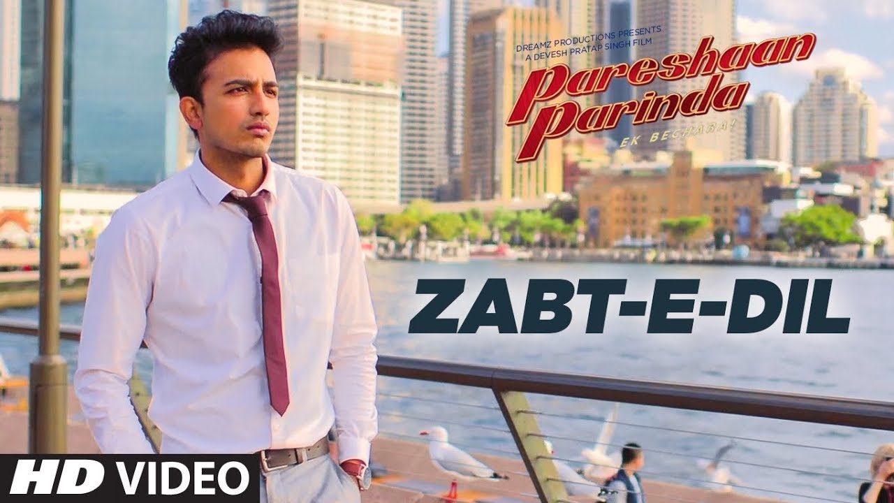 Zabt E Dil - Song Cover Image