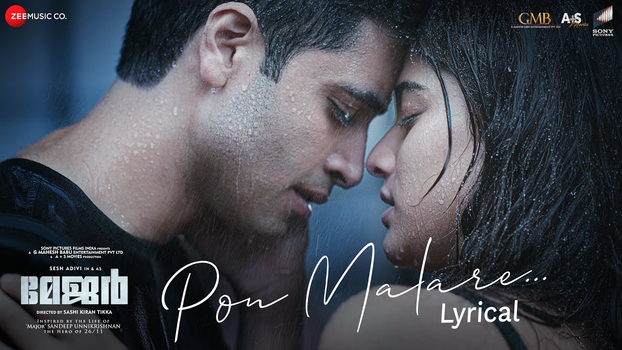 Pon Malare - Song Cover Image