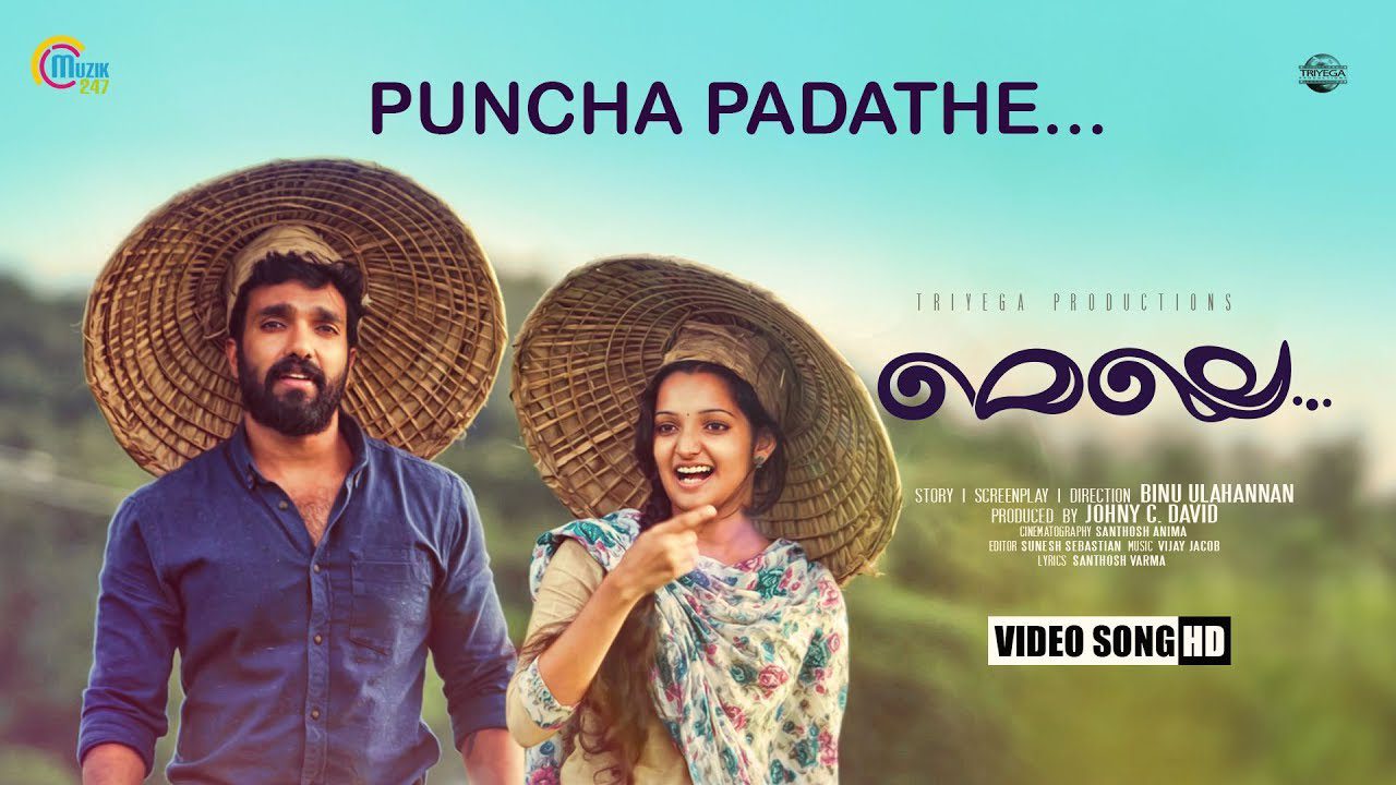 Punjapadathe - Song Cover Image