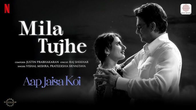 Mila Tujhe - Song Cover Image
