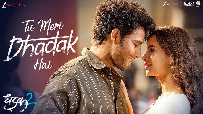 Tu Meri Dhadak Hai - Song Cover Image