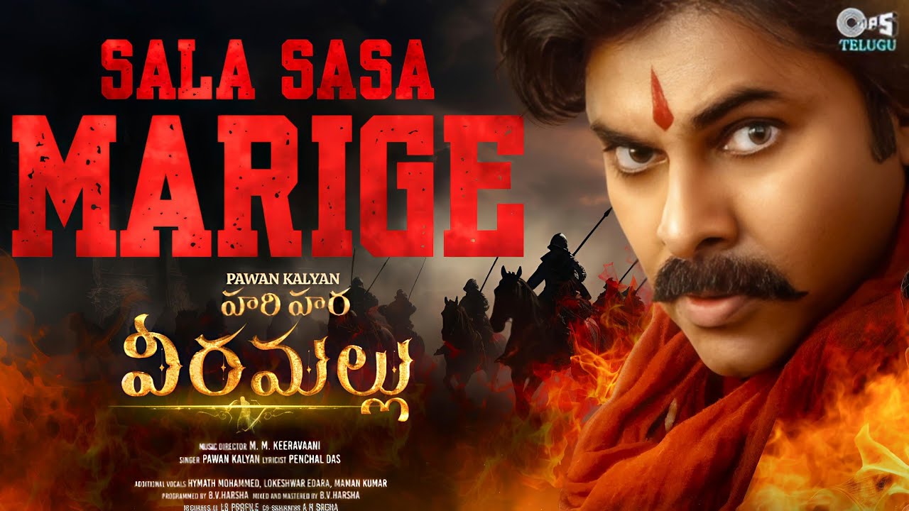 Salasala Marige - Song Cover Image