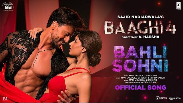 Bahli Sohni Lyrics Video