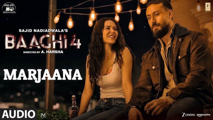 Marjaana - Song Cover Image