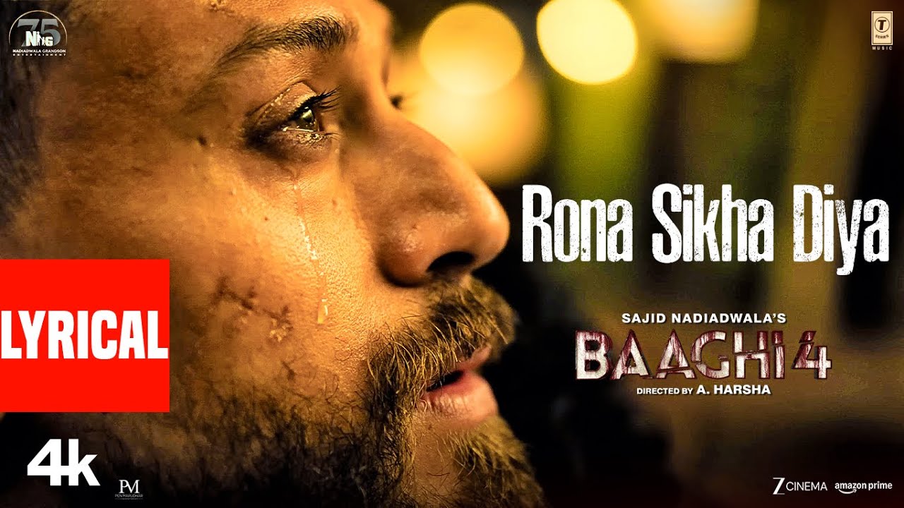 Rona Sikha Diya - Song Cover Image