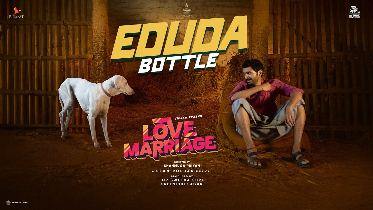Eduda Bottle - Song Cover Image