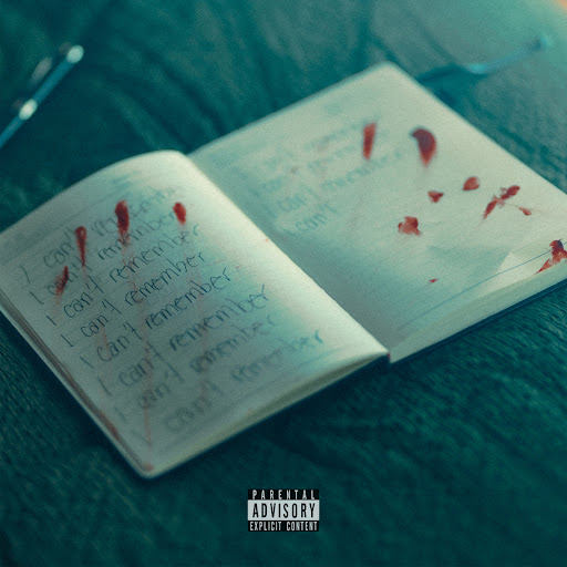 Diary Of An Alcoholic (10 shots) - Song Cover Image