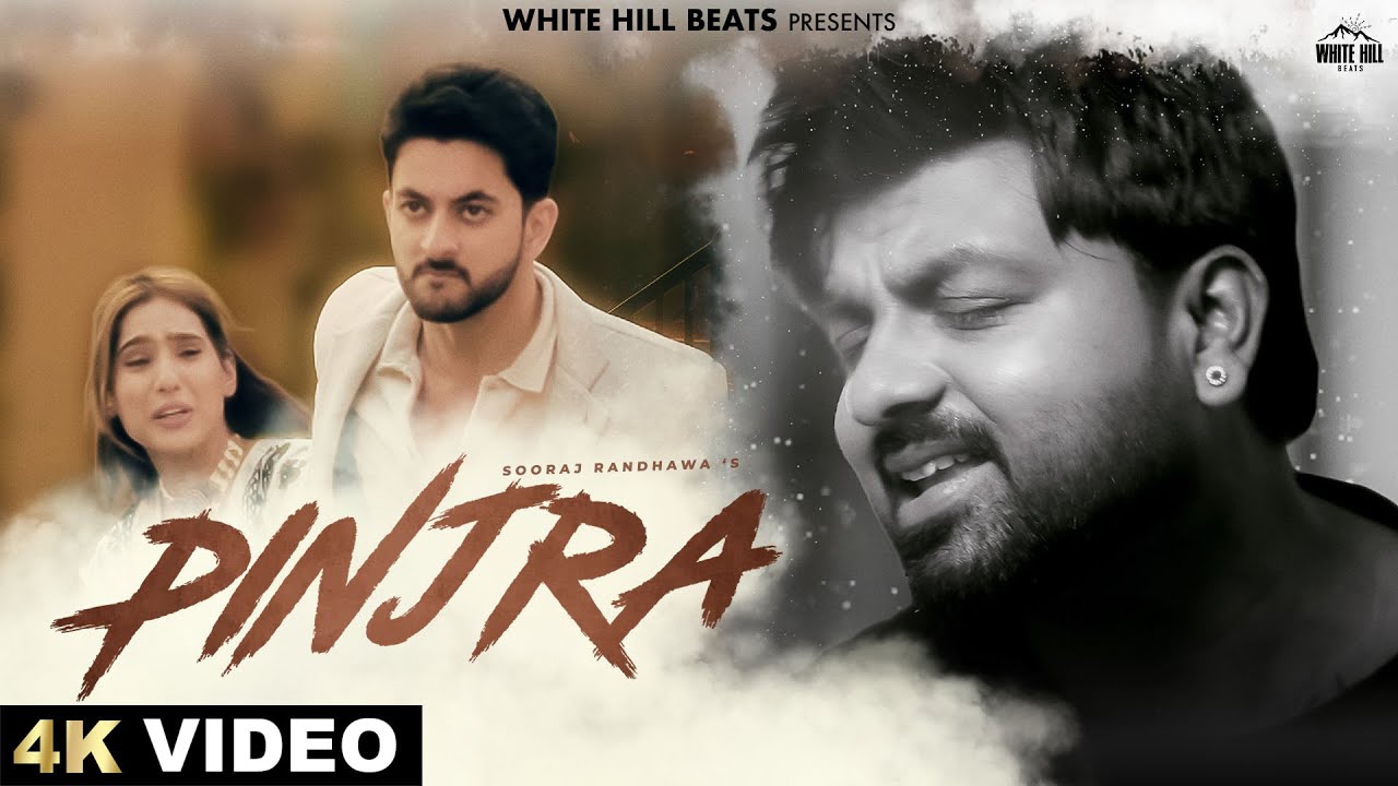 Pinjra - Song Cover Image