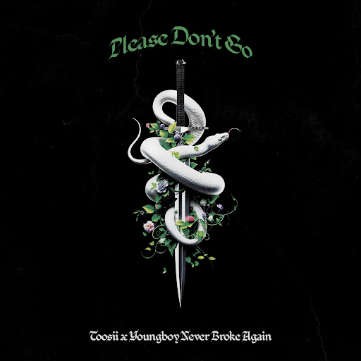 Please Don't Go - Song Cover Image