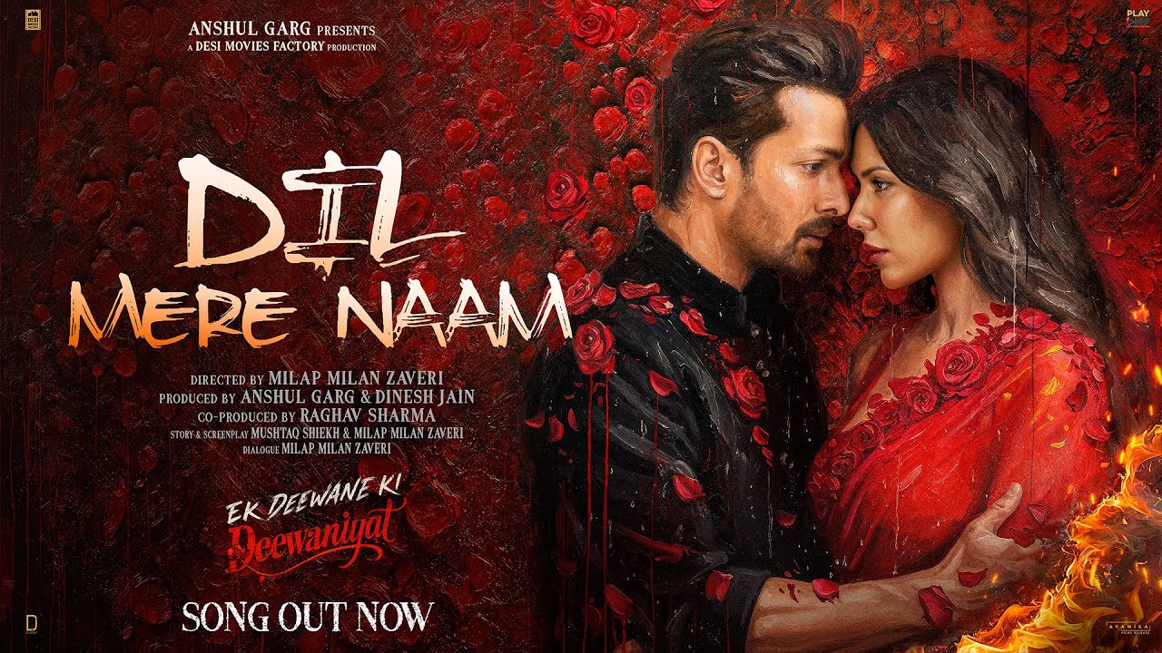 Dil Mere Naam - Song Cover Image