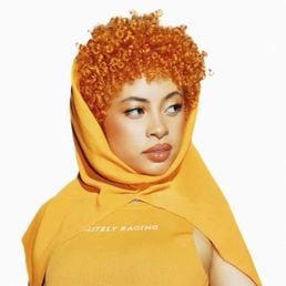 Pretty Privilege - Song Cover Image