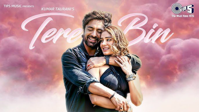 Tere Bin - Song Cover Image