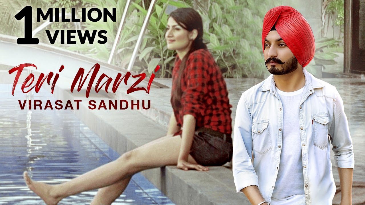 Teri Marzi (Title) - Song Cover Image