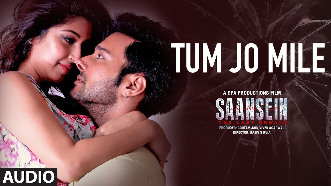 Tum Ho Mere - Song Cover Image