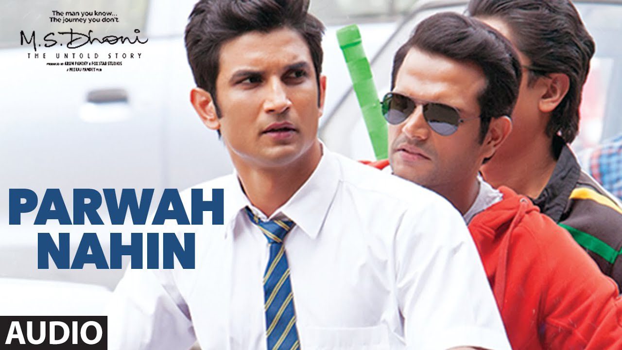 Parwah Nahin - Song Cover Image