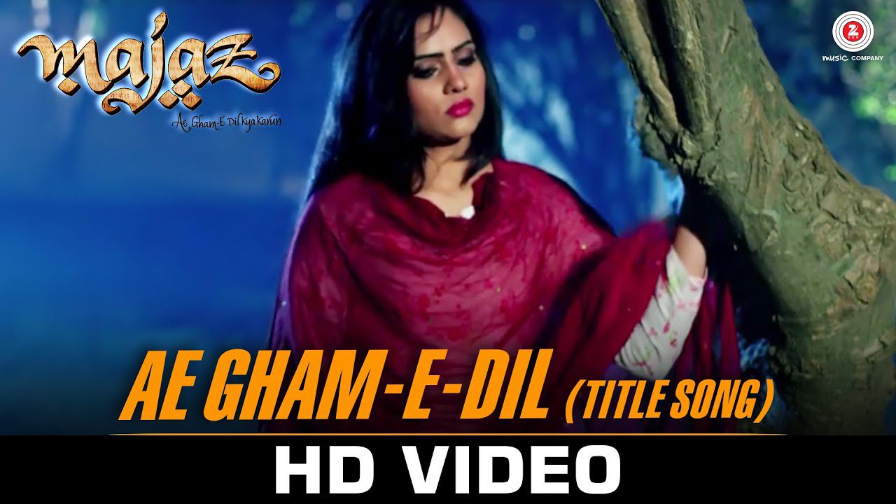 Ae Gham-e-Dil (Title) - Song Cover Image