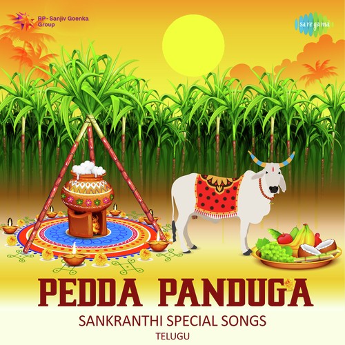 Tekumanu Kottichehi